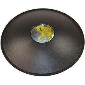 3D Hologramm