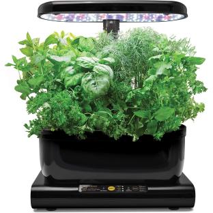 Mini-Garten mit LED-Beleuchtung