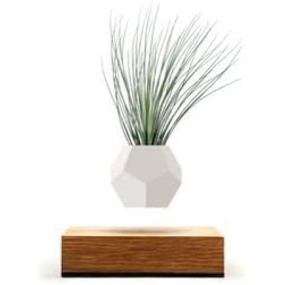 Schwebender Pflanzentopf für Luftpflanzen