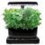 Mini-Garten mit LED-Beleuchtung